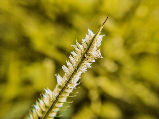 Foto close-up da fábrica