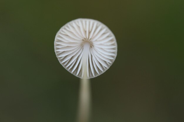 Foto close-up da fábrica