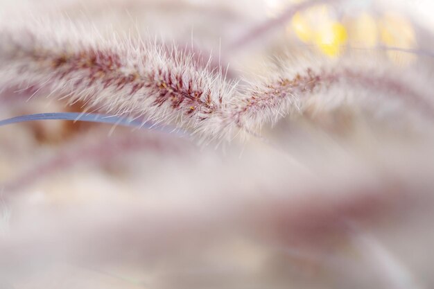 Close-up da fábrica
