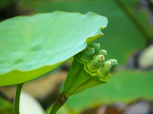 Close-up da fábrica