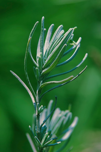 Foto close-up da fábrica