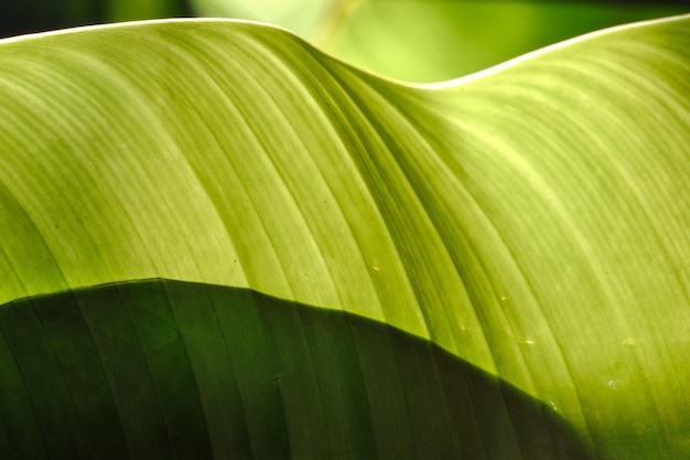 Close-up da fábrica