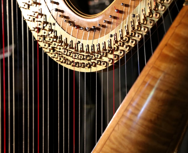 Foto close-up da harpa