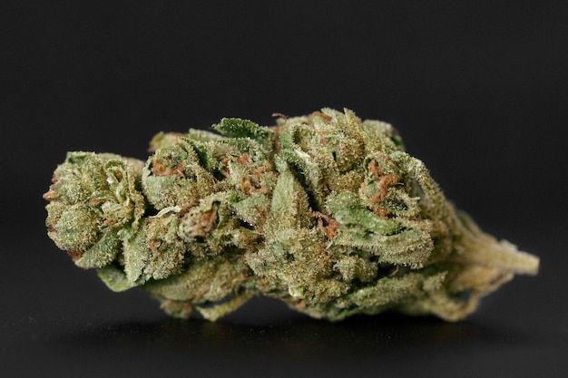 Close-up da maconha