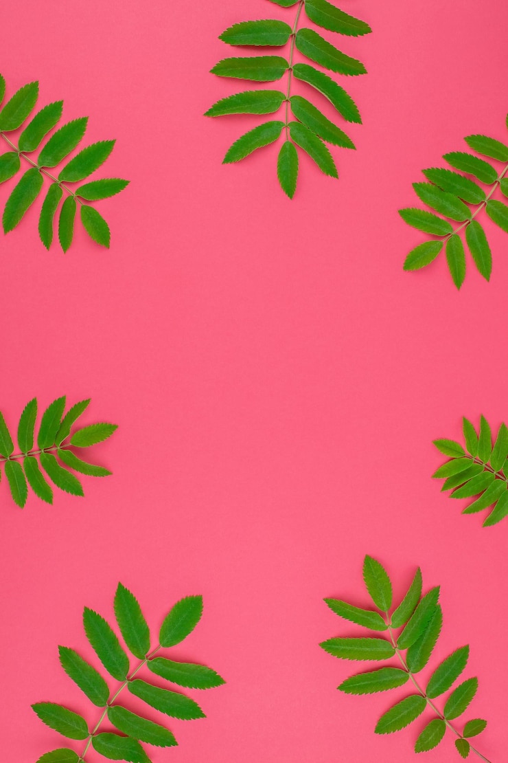 Foto close-up da planta contra a parede