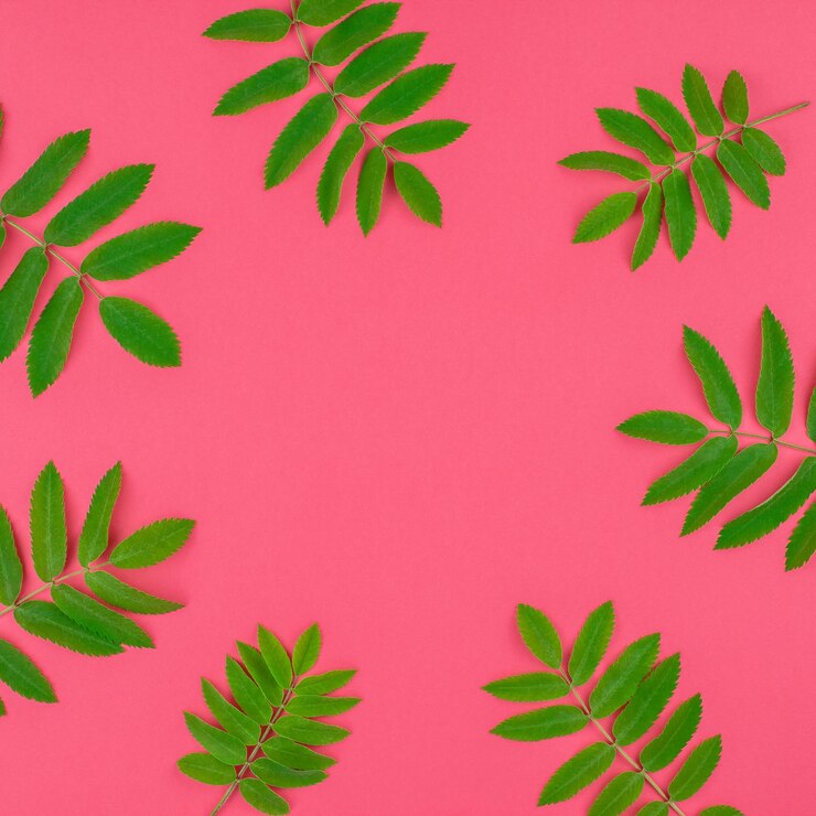 Foto close-up da planta contra fundo vermelho