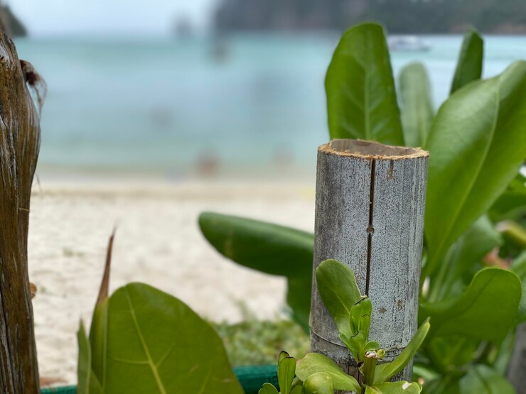 Foto close-up da planta em um poste de madeira