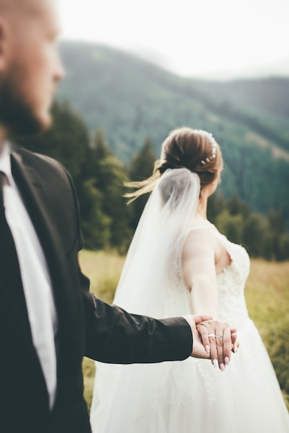 Close-up das mãos de recém-casados. a noiva e o noivo estão de pé na montanha de mãos dadas, a foto do conceito, siga-me. rostos borrados, vista traseira. foto de alta qualidade