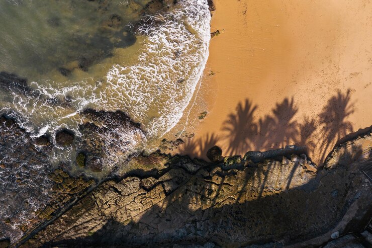 Foto close-up das sombras das palmeiras ao lado do mar