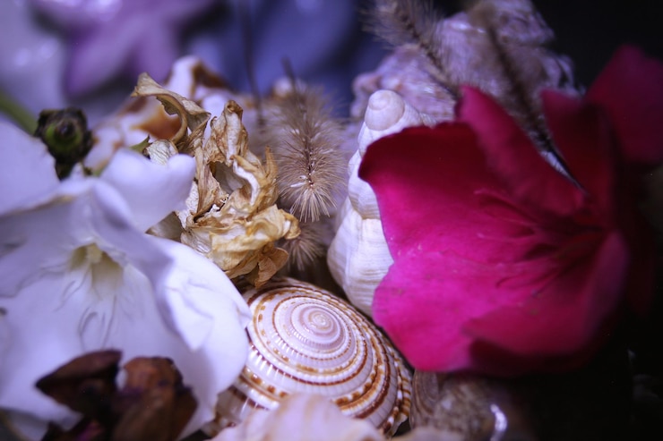 Foto close-up de abelha em flor
