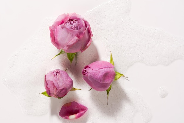 Close-up de água de espuma de rosas. Botões de rosa flutuam em água com sabão. O conceito de spa, relaxamento
