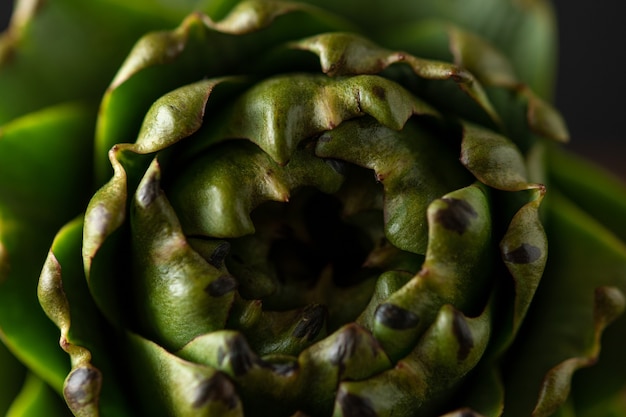 Close-up de alcachofra orgânica madura.