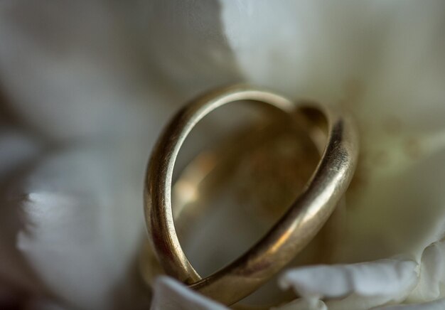 Foto close-up de alianças de casamento em flor