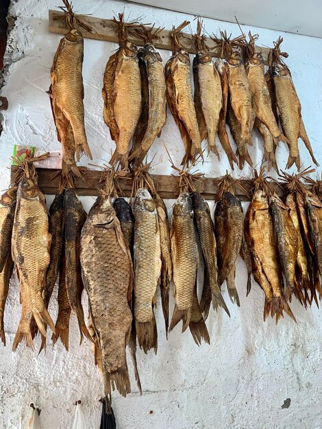 Close-up de alimentos