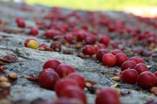 Close-up de ameixas em terra