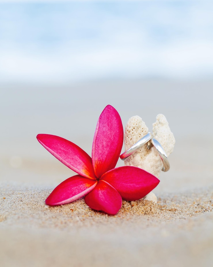 Foto close-up de anéis de casamento e flor na areia