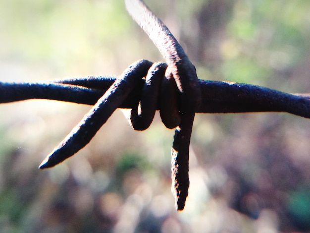 Foto close-up de arame farpado enferrujado