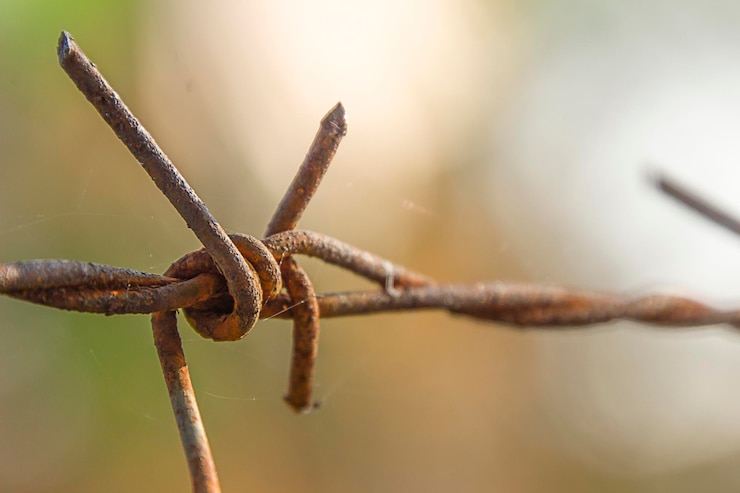 Foto close-up de arame farpado