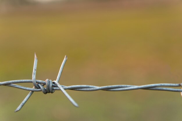 Foto close-up de arame farpado