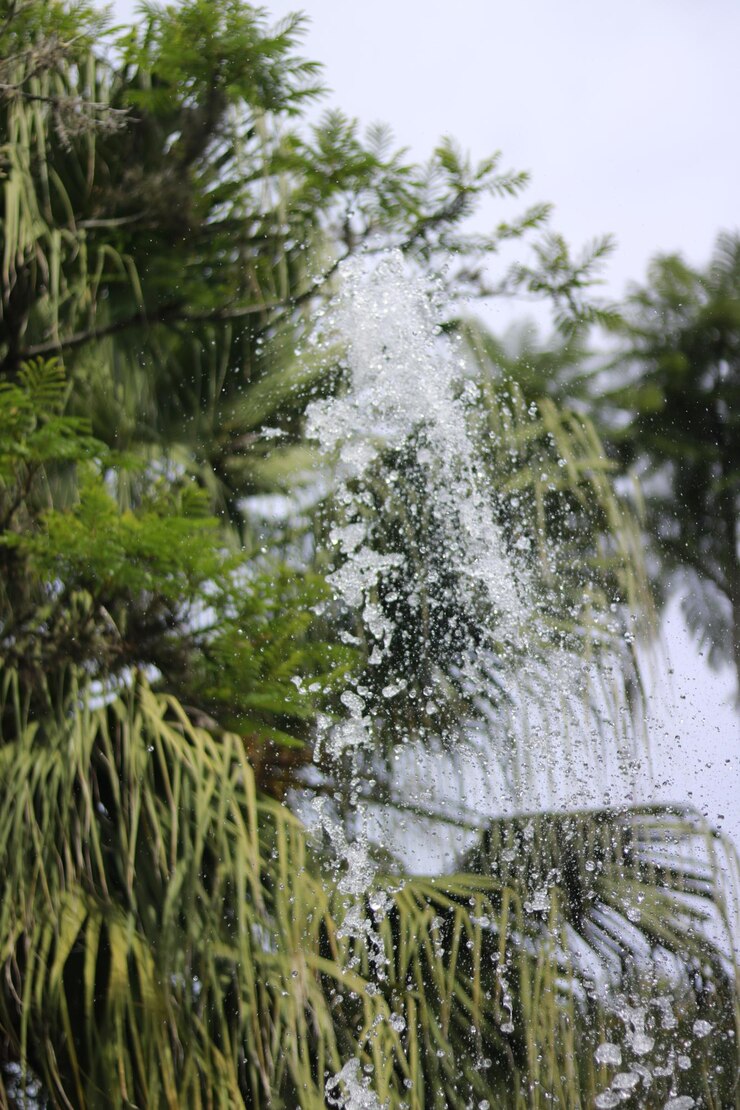 Foto close-up de árvores congeladas durante o inverno