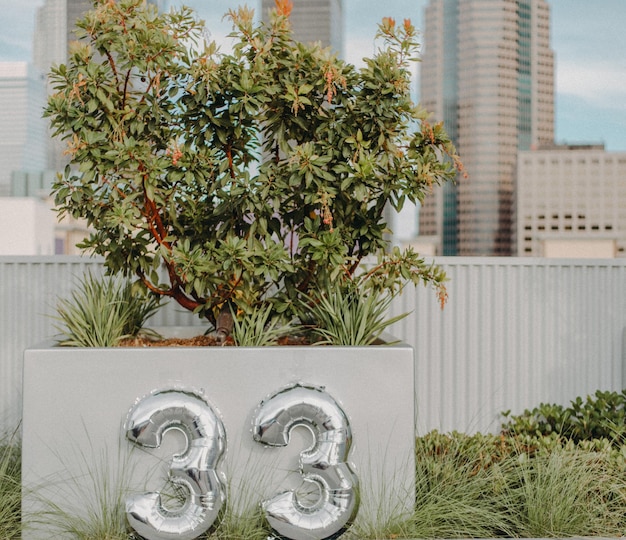 Foto close-up de balões numéricos por planta contra edifícios