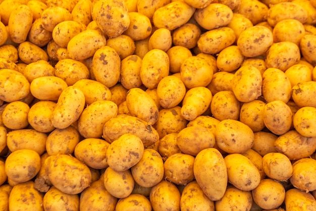 Close-up de batatas jovens cruas frescas no fundo da pilha