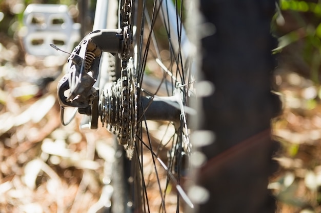 Close-up de bicicleta de montanha