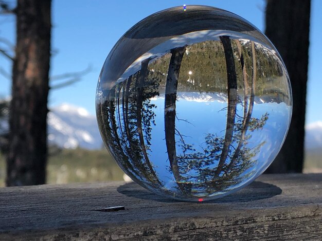 Close-up de bola de cristal em mesa contra árvores