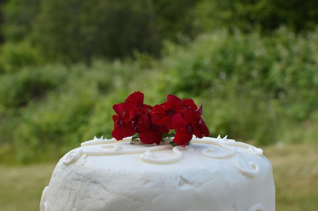 Foto close-up de bolo branco com flor vermelha