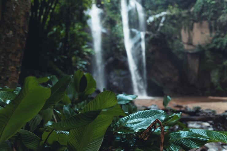 Foto close-up de cachoeira na floresta