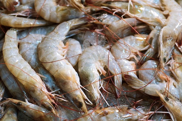 Close-up de camarão cru fresco congelado no gelo, mercado de comida de rua tailandês