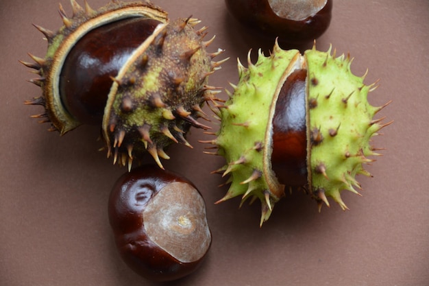 Close-up de castanhas na mesa