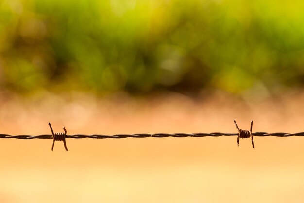 Foto close-up de cerca de arame farpado ao ar livre