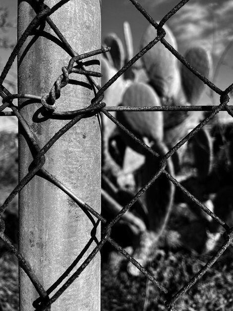 Foto close-up de cerca de arame farpado no campo