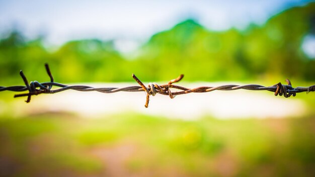 Foto close-up de cerca de arame farpado no campo