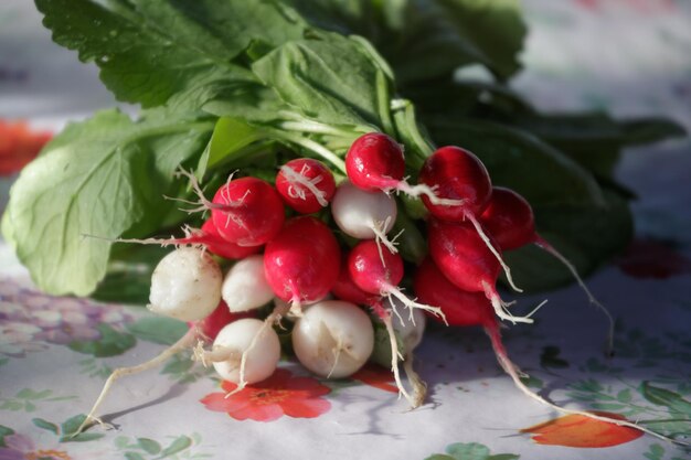 Foto close-up de cerejas e plantas