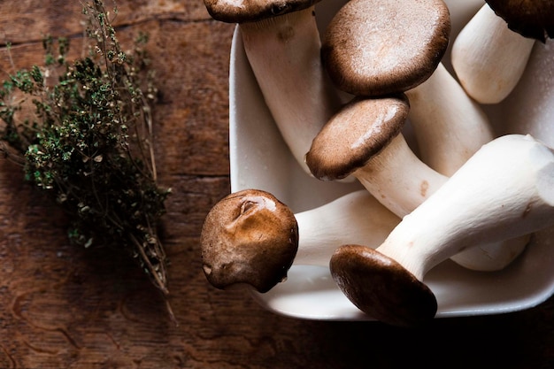 Close-up de cogumelos boletus em uma tigela