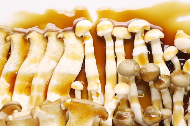 Foto close-up de cogumelos