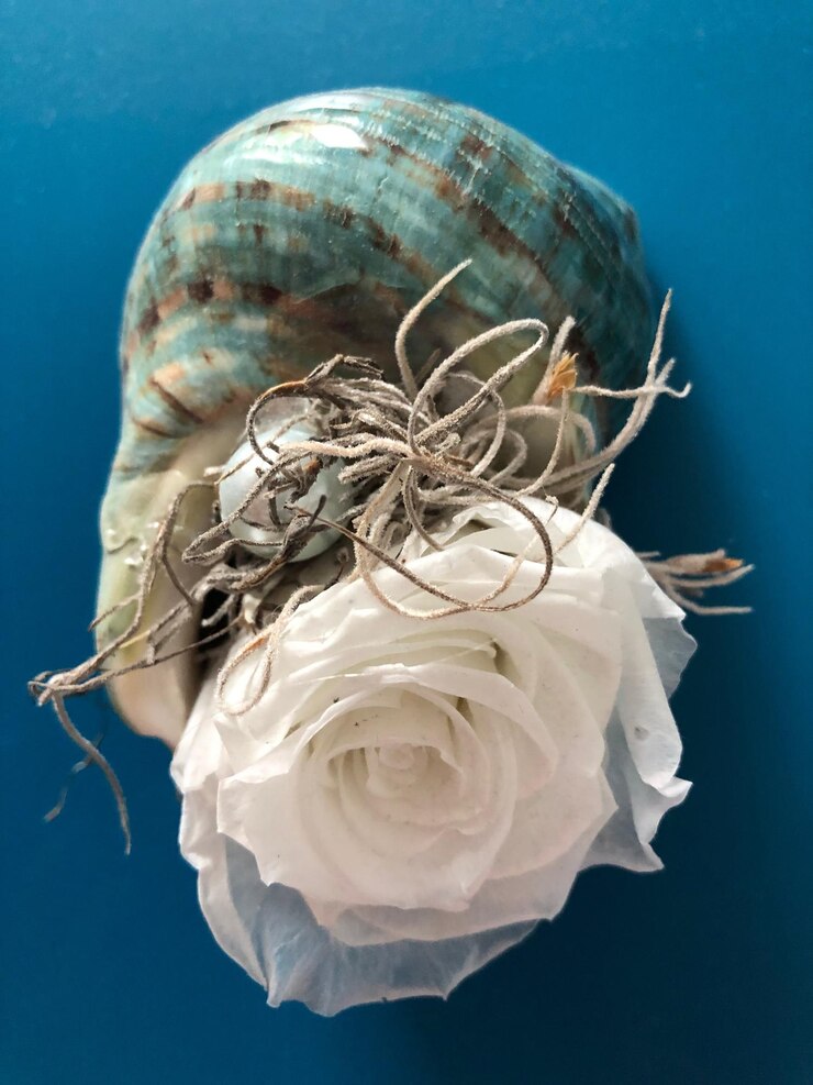 Foto close-up de concha em flor azul