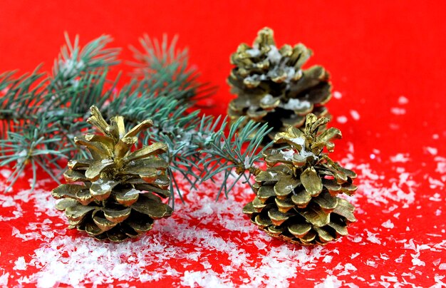 Close-up de cones de pinheiro em uma mesa