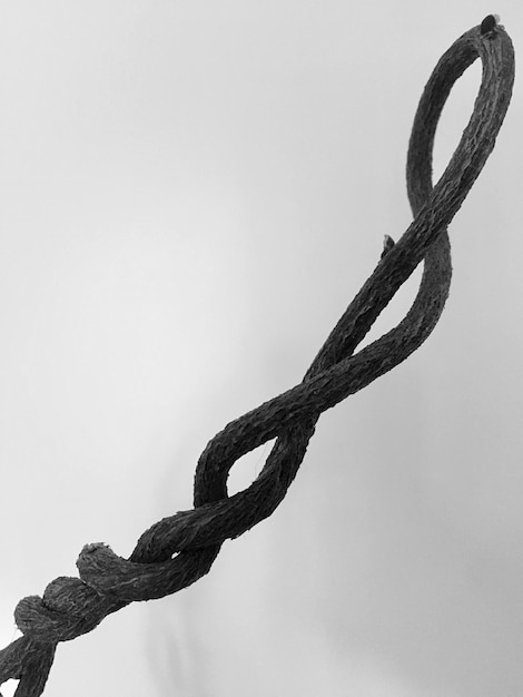 Close-up de corda contra fundo branco