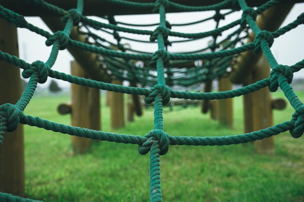 Close-up de cordas verdes em um campo gramado