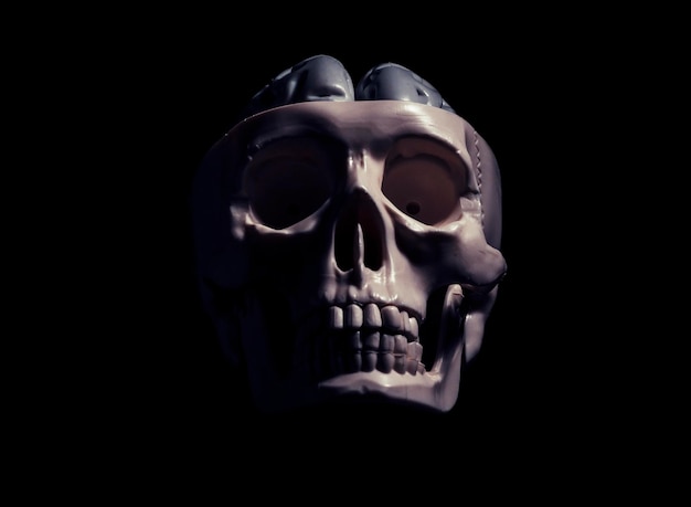 Close-up de crânio humano contra fundo preto