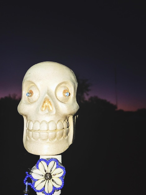 Foto close-up de crânio humano contra o céu à noite
