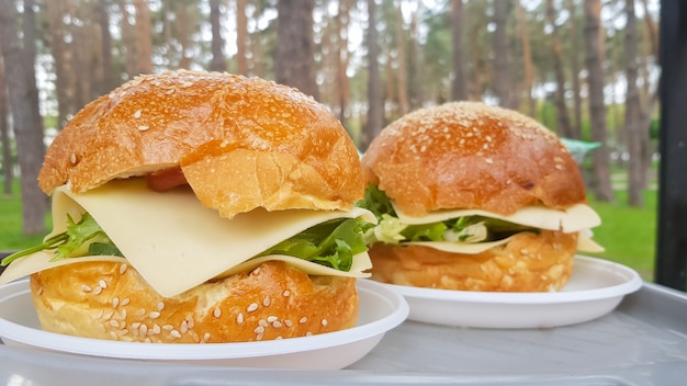 Close-up de dois grandes hambúrgueres DIY no parque em um churrasco, descansar e cozinhar em um piquenique no verão, comida deliciosa, cores vivas. Conceito de alimentos pouco saudáveis. Comida rápida.