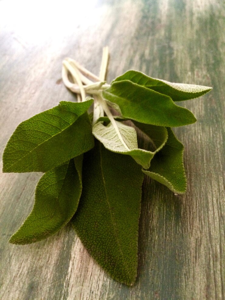 Foto close-up de erva de sálvia em uma mesa de madeira