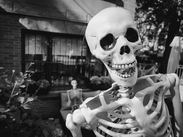 Close-up de esqueleto de Halloween com outro esqueleto no fundo