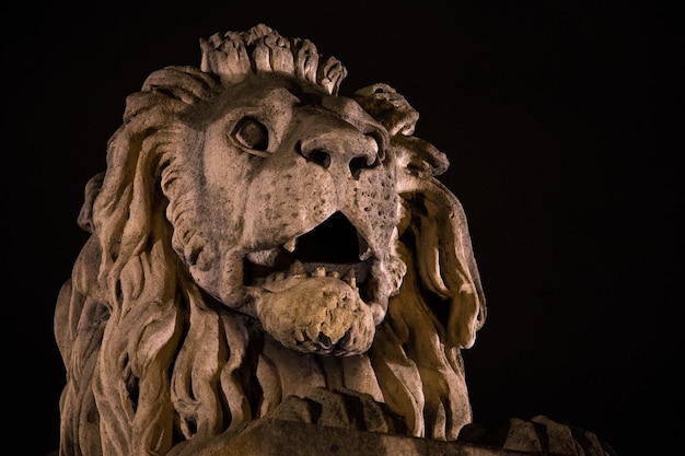 Foto close-up de estátua de leão contra o céu à noite