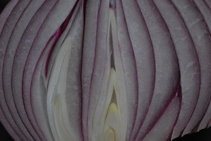 Foto close-up de flor branca