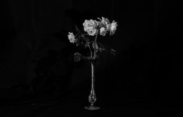 Close-up de flor murcha em vaso contra fundo preto